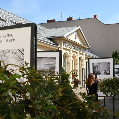 Oferta  edukacyjno-artystyczna  Płockiej Galerii Sztuki