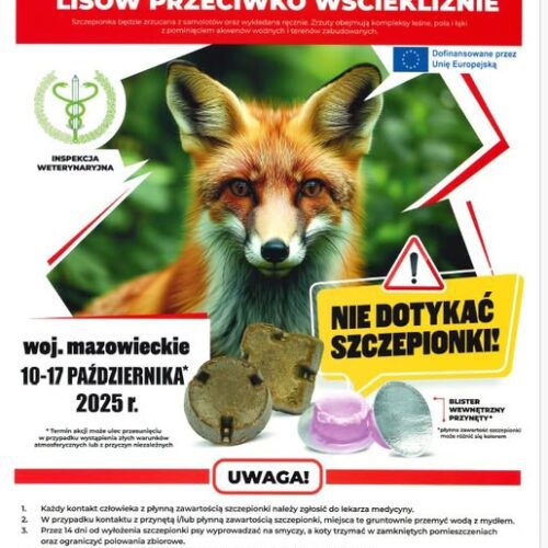 Szczepienie lisów wolno żyjących przeciwko wściekliźnie
