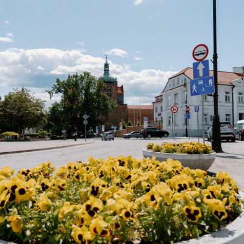 Oddamy bratki w dobre ręce