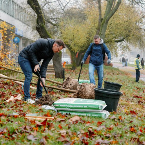 Drzewa… z imionami