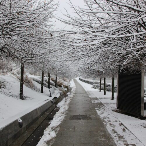 Płocki Raport Drogowy – poniedziałek 29 grudnia