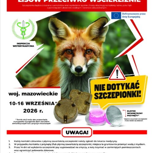 Jesienna akcja szczepień lisów