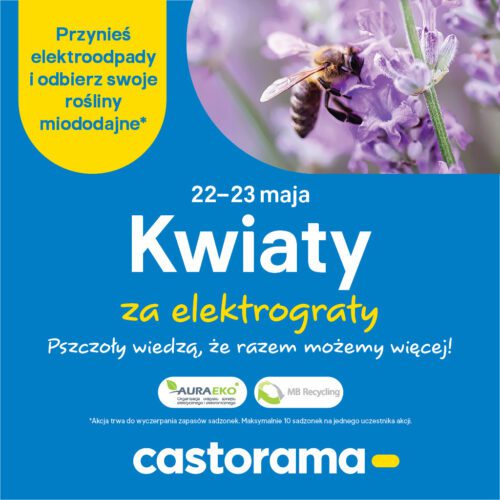Akcja „Kwiaty za elektrograty”