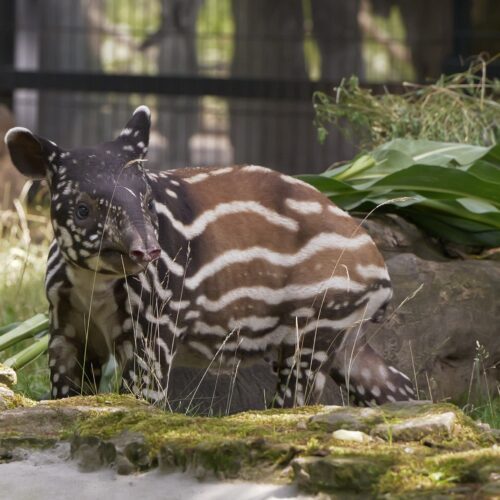 Wielki finał wakacji w ZOO Płock